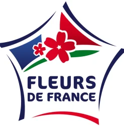 FLEURON D'ANJOU - Plant de thym commun pot de 1l