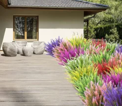 Fleurs de lavande artificielles - blanches