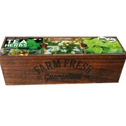 FLOREX - Kit prêt à pousser - herbes à thé