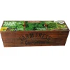 FLOREX - Kit prêt à pousser - herbes à soupes