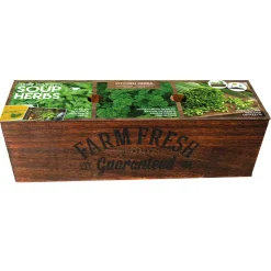 FLOREX - Kit prêt à pousser - herbes à soupes