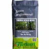 FLORIVERT - Graine de gazon terra sous bois 10 kg pour esthétique et forte densité - florivert 1201804