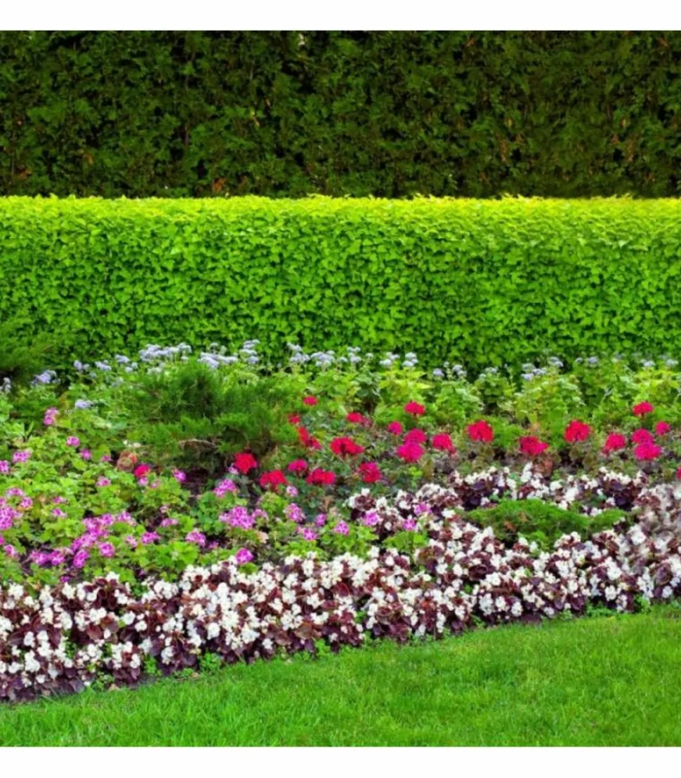 FLORIVERT - Terreau complet prêt à l'emploi flori fleurissement pae 70l, idéal pour pots et balcon - florivert neg01617