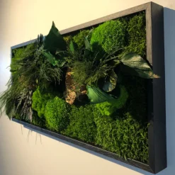 FLOWERBOX - Tableau végétal stabilisé canopé rectangle 57 x 27 cm