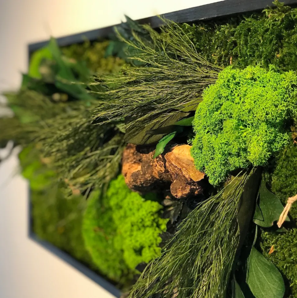 FLOWERBOX - Tableau végétal stabilisé canopé panoramic 70 x 20 cm