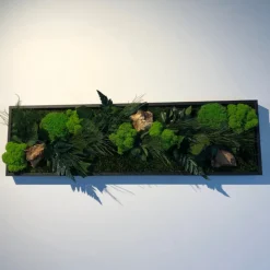 FLOWERBOX - Tableau végétal stabilisé canopé panoramic 70 x 20 cm