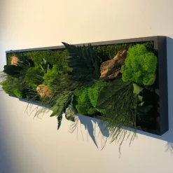 FLOWERBOX - Tableau végétal stabilisé canopé panoramic 70 x 20 cm