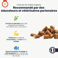 FRANCE CROQUETTES - Bouchées au saumon 500g - france croquettes