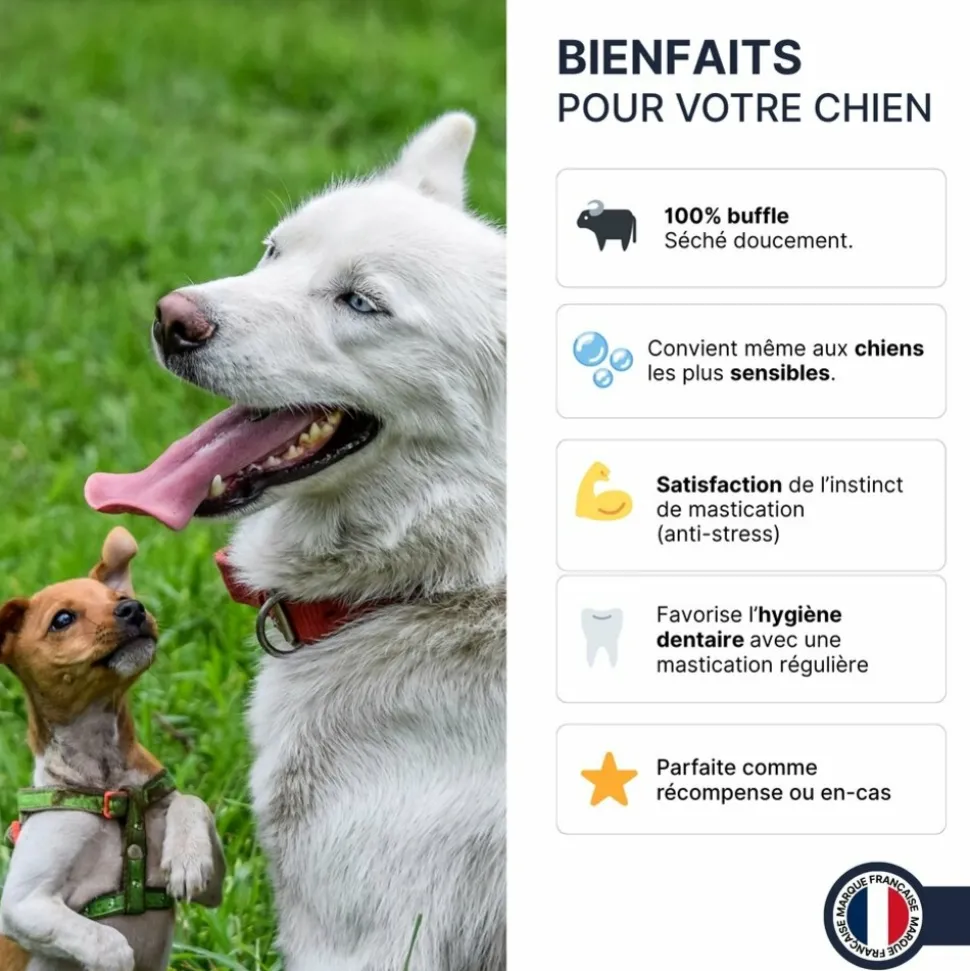 FRANCE CROQUETTES - Bâtonnets de buffle (chiot et senior) - 300gr - france croquettes