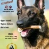 FRANCE CROQUETTES - 1x bois de cerf xxl entier (200/300gr) - chien <50kg - france croquettes