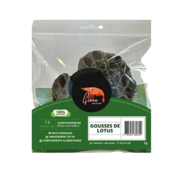 GIOIASHRIMP - 2 gousses de lotus pour crevettes