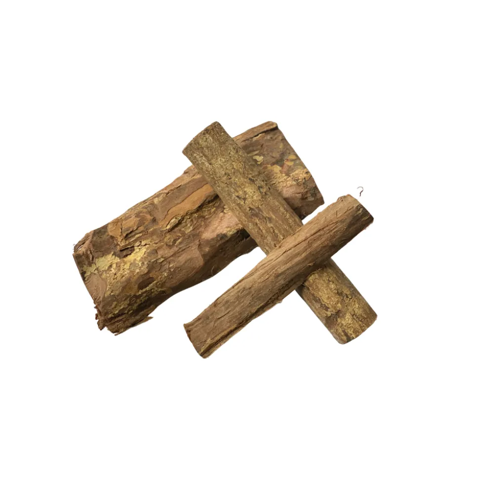 GIOIASHRIMP - Écorce de catappa pour crevettes et poissons