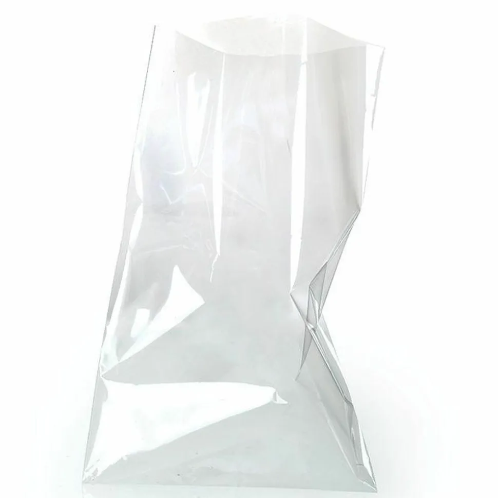 GRAINE CRÉATIVE - 60 sachets alimentaires transparents 19 x 11 cm