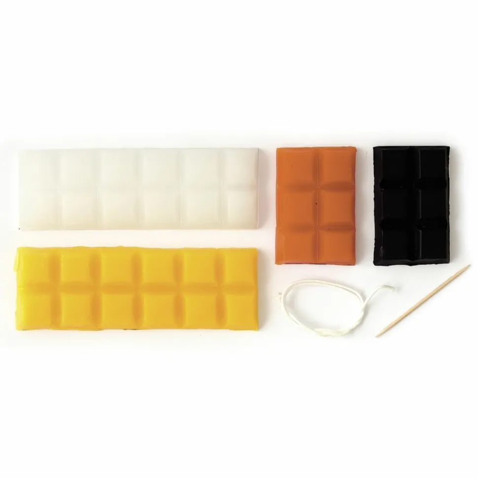 GRAINE CRÉATIVE - Coffret diy bougies à modeler animaux sauvages