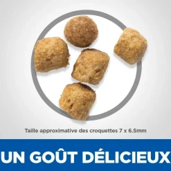HILL'S - Croquettes chat science plan sterilised young adult poulet - hill's 10 kg