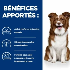 HILL'S - Croquettes chien adult prescription diets derm defense - hill's 12 kg