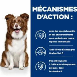 HILL'S - Croquettes chien adult prescription diets derm defense - hill's 4 kg