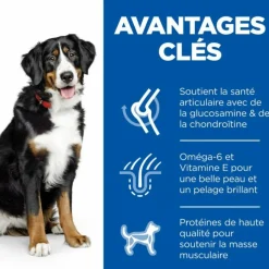HILL'S - Croquettes chien science plan adulte large poulet - hill's 18 kg