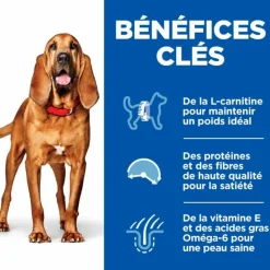 HILL'S - Croquettes chien science plan adult mature 7+ light poulet - hill's 14 kg