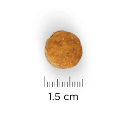 HILL'S - Croquettes chien sénior de grande taille au poulet - 18 kg