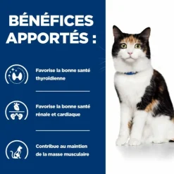 HILL'S - Patee chat adult prescription diets y/d thyroid care (boite) - hill's 24*156 g