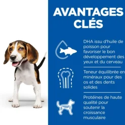 HILL'S - Patees chien science plan puppy poulet (boite) - hill's 12*370 g