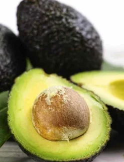 JARDINTROPIC - Avocatier : persea americana var. Hass adulte (de greffe) 130 l. 200-250 cm.per. 030/035 cm.