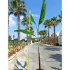 JARDINTROPIC - Bananier musa cheesmanii pot de 25l - 200-225cm