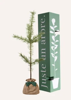JUSTE UN ARBRE. - Pin sylvestre | offrez un arbre pour célébrer les grands moments de vie (naissance, mariage). Un cadeau unique.