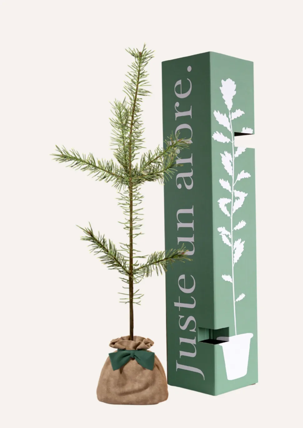 JUSTE UN ARBRE. - Pin sylvestre | offrez un arbre pour célébrer les grands moments de vie (naissance, mariage). Un cadeau unique.