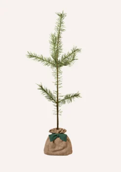 JUSTE UN ARBRE. - Pin sylvestre | offrez un arbre pour célébrer les grands moments de vie (naissance, mariage). Un cadeau unique.