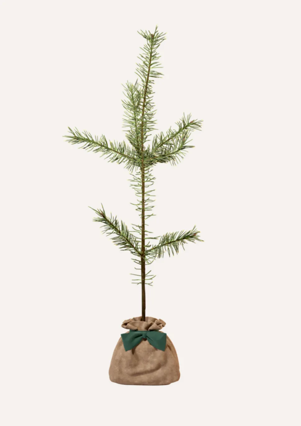 JUSTE UN ARBRE. - Pin sylvestre | offrez un arbre pour célébrer les grands moments de vie (naissance, mariage). Un cadeau unique.