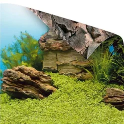JUWEL - Juwel Poster S : 60 x 30 cm