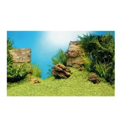 JUWEL - Juwel Poster XL : 150 x 60 cm
