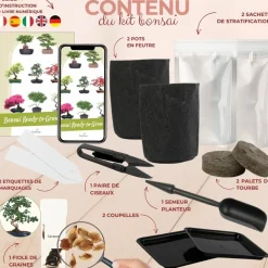 Kit first bonsaï carmona avec accesoires