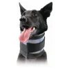 KVP - Collier cervical pour chiens noir (9-36 cm)