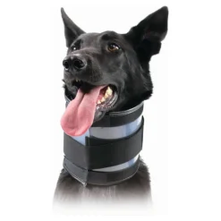 KVP - Collier cervical pour chiens noir (6-28 cm)