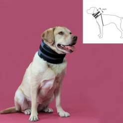 KVP - Collier cervical pour chiens noir (18-53 cm)