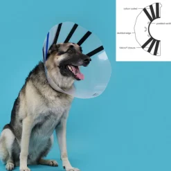 KVP - Collier de protection isabelino pour chiens ez clear (39-51 cm)