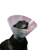 KVP - Collier de protection isabelino pour chiens betsy (33-40 cm)