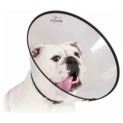 KVP - Collier de protection isabelino pour chiens saf-t-clear transparent (30-76 cm)