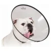 KVP - Collier de protection isabelino pour chiens saf-t-clear transparent (25-38 cm)
