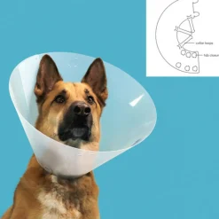 KVP - Collier de protection isabelino pour chiens quick fit transparent (45-56 cm)