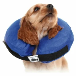 KVP - Collier de récupération pour chiens kvp kong cloud bleu gonflable (max. 15 cm)