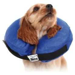 KVP - Collier de récupération pour chiens kong cloud bleu gonflable (25-33 cm)
