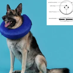KVP - Collier de récupération pour chiens kong cloud bleu gonflable (25-33 cm)