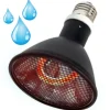 LA FERME TROPICALE - Lampe à résistance chauffante - deep heat splash proof - 80w - ampoule / chauffage pour reptiles (lézards, serpents), amphibien