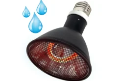 LA FERME TROPICALE - Lampe à résistance chauffante - deep heat splash proof - 80w - ampoule / chauffage pour reptiles (lézards, serpents), amphibien