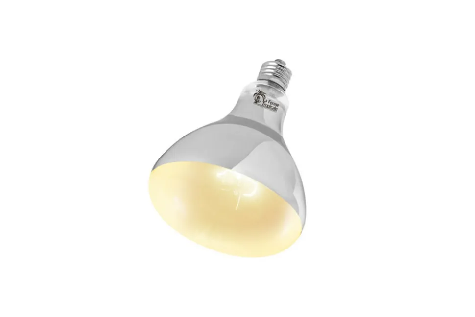 LA FERME TROPICALE - Lampe uvb auto ballastée 100w - super sun - ampoule pour le chauffage et l'éclairage destinés aux reptiles (lézards, serpents),