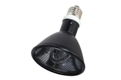 LA FERME TROPICALE - Lampe à résistance chauffante - deep heat splash proof - 100w - ampoule / chauffage pour reptiles (lézards, serpents), amphibie
